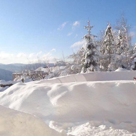 Laptitevosgienne Vue Lac A Gerardmer ! Eksteriør billede